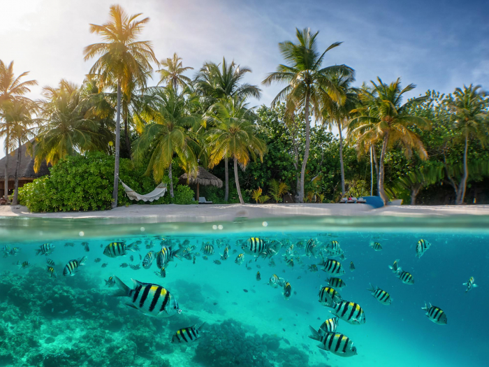 Seychelles Diving