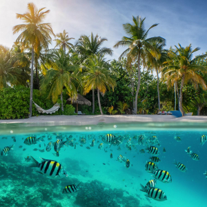 Seychelles Diving