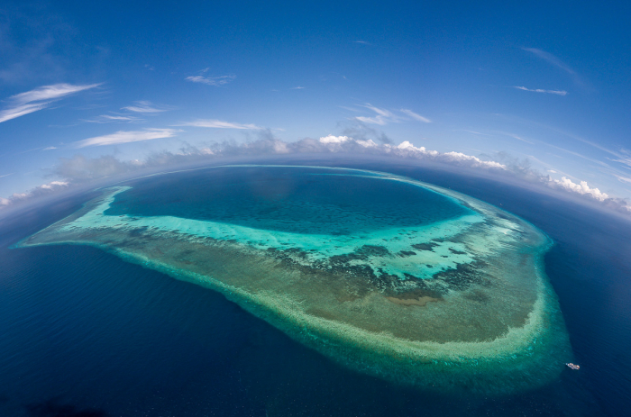 Remote reefs of Tubbataha, Philippines