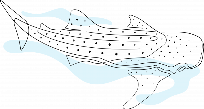 Zublu Line Illustration Fa