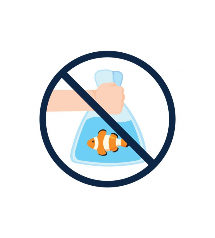 Dont Collect Marine Animals