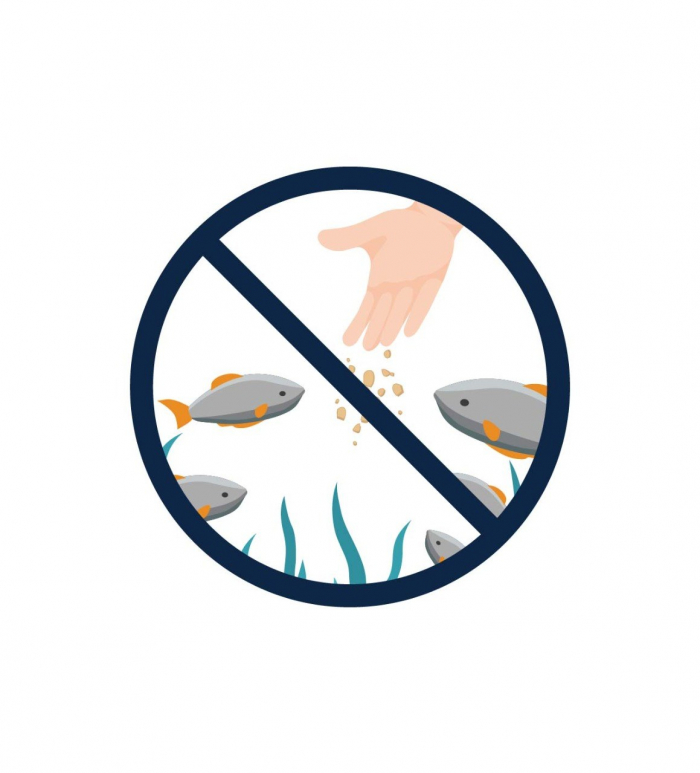 Dont Feed Fish