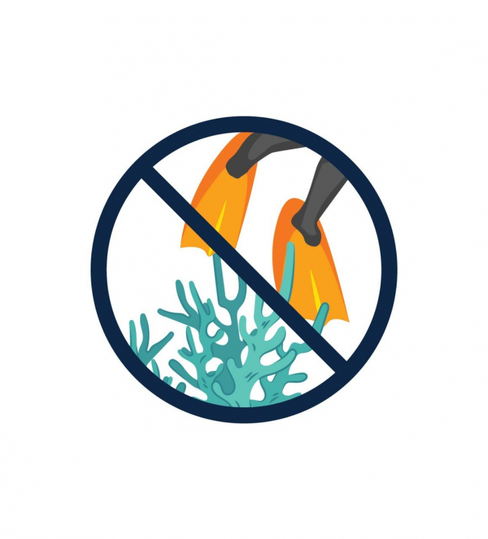 Dont Step On Coral