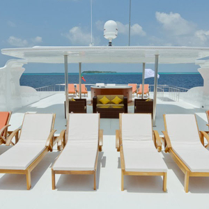maldives shark tour Banner Luxury Maldives