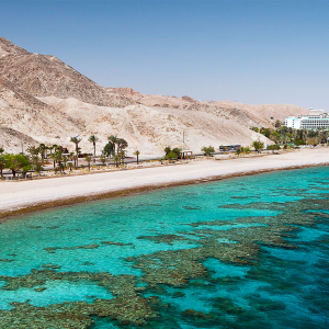 Banner Red Sea