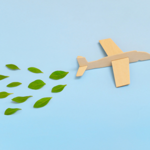 Sustainable Travel Airplane Green