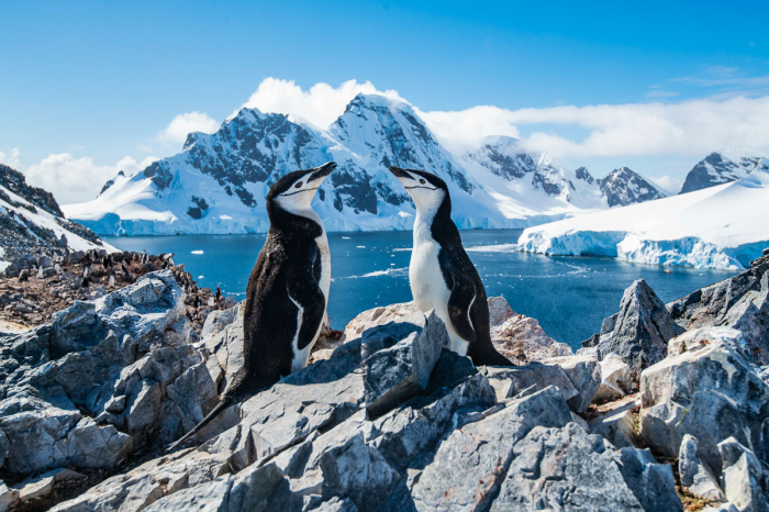 Antarctica Expedition Voyages 2