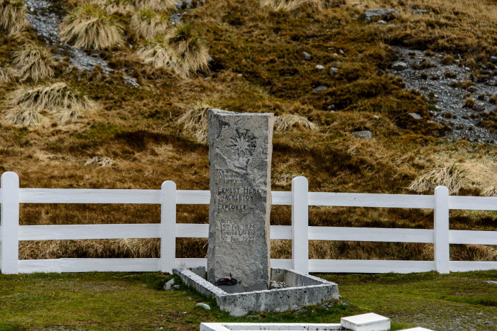 South Georgia South Sandwich Islands 11