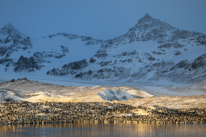 South Georgia South Sandwich Islands