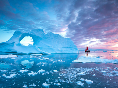 Arctic Diving Banner