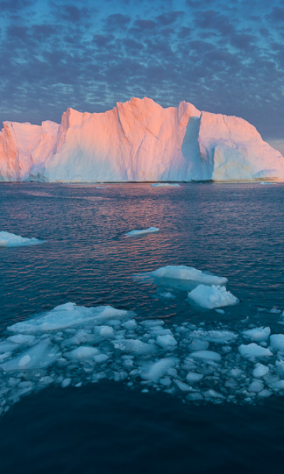 Greenland Portrait