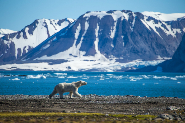 Sv Albard Jan Mayen Island 6