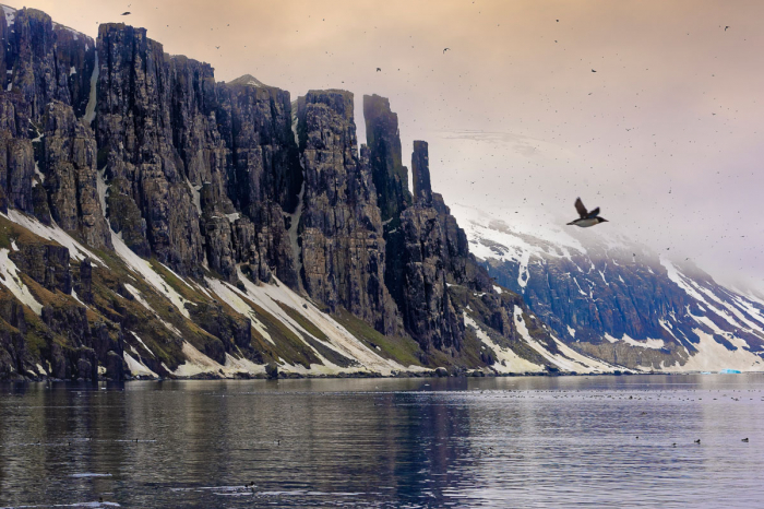 Sv Albard Jan Mayen Island 8