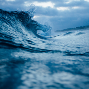A window of opportunity for the oceans