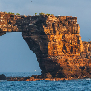Brief Guide To Galapagos