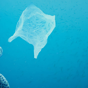 Are Plastics And Microplastics In The Ocean On The Increase Banner