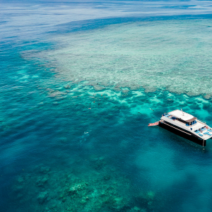 Barrier Reef Liveaboards Banner