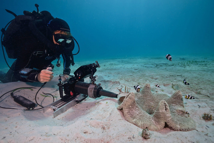 Scubazoo Blue Planet Shoot04