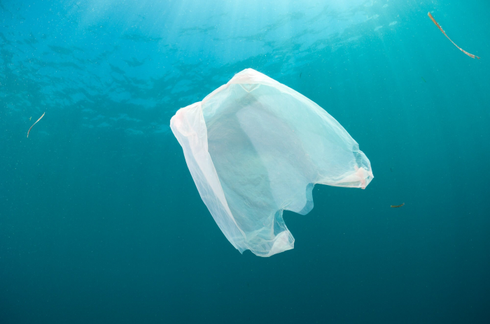 Plastic Bag Waste Underwater