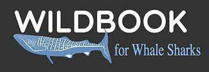 Wildbook For Whalesharks Logo