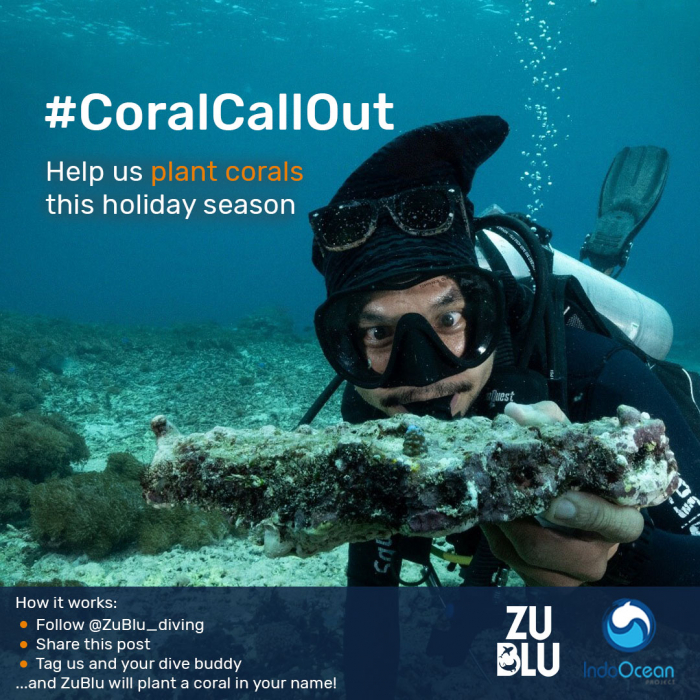 Coral Call Out5