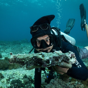 Coral Call Out