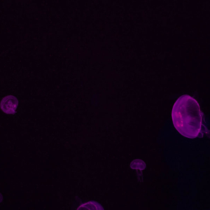Dna In Seawater Banner