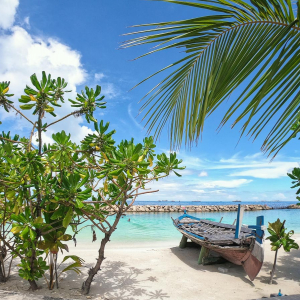 Discover The Maldives Banner