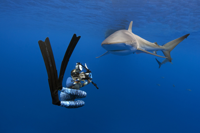 Galapagos Shark Diving Interview Jenny Waack1