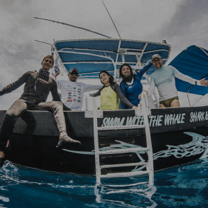 Manta Caribbean Project 5 Banner
