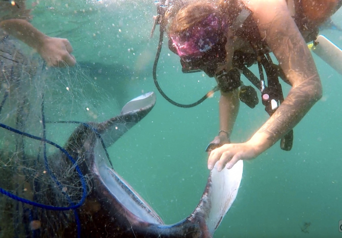Manta Rescue Nakia