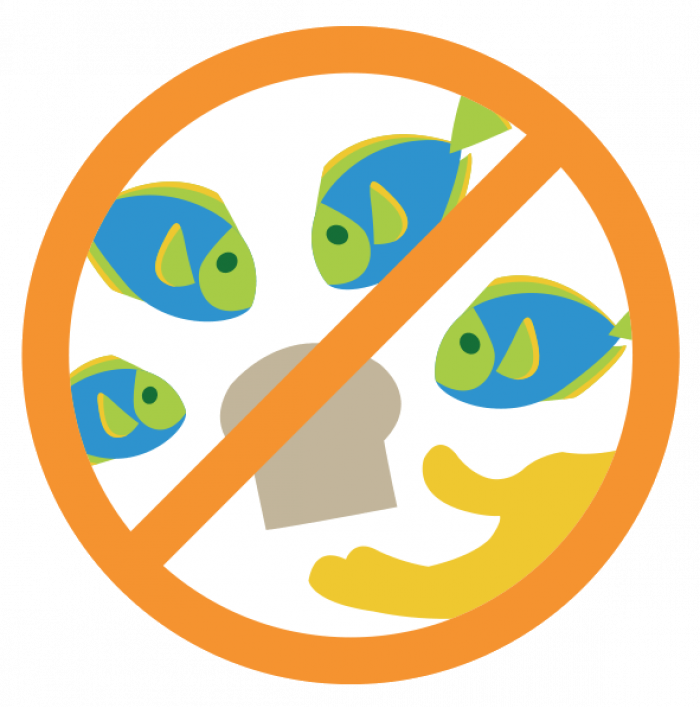 No Feeding Fish