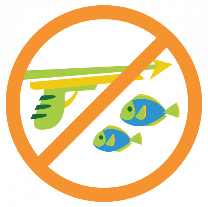 No Spearfishing