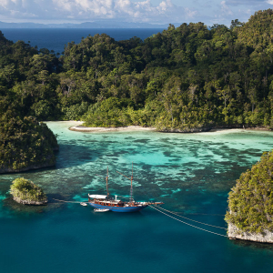 Indonesia Liveaboards Banner
