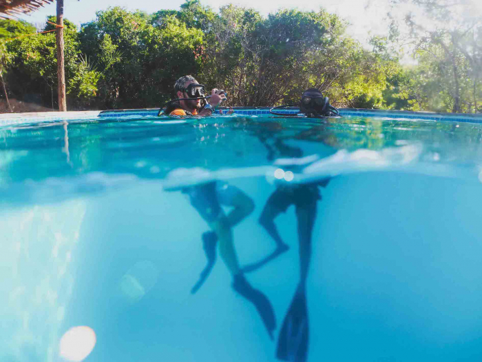 Iris Ecoventures Interview Bcss Dive Training