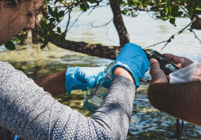 Iris Ecoventures Interview Bcss Mangrove Research