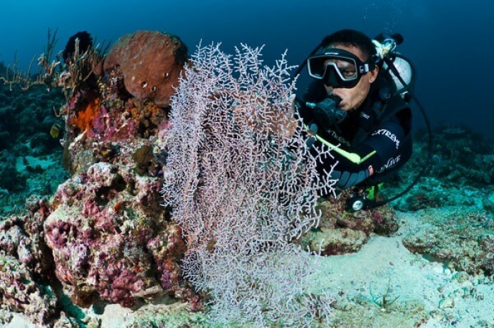 Gili Islands Diving3