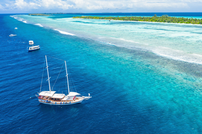 Maldives Safari Liveaboard Diving