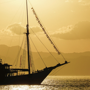 Liveaboard Diving Raja Ampat Indonesia Banner