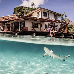 Misool Eco Resort Raja Ampat Indonesia Zublu Banner