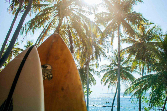 Maldives Surfing