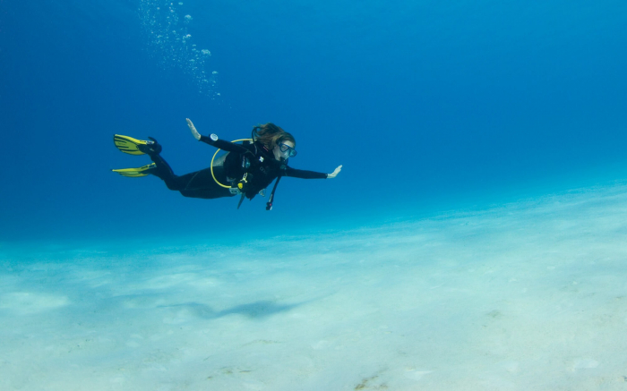 Maldives Dive Green Banner
