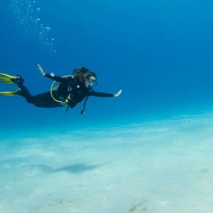 Maldives Dive Green Banner