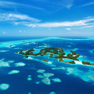 Palau Micronesia Scuba Diving Banner