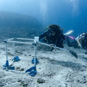 Serena Interview Indo Ocean Project Zublu Banner