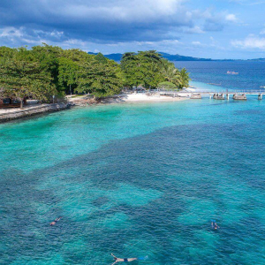 Sulawesi Scuba Diving Banner 01 1