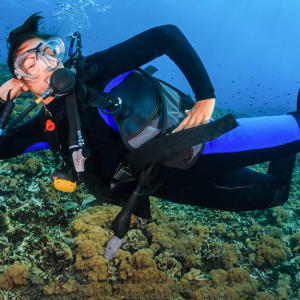 Womens Dive Travel Where To Go And What To Know Zublu2