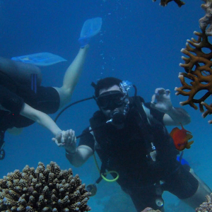 Young Travellers Search For New Experience Banner