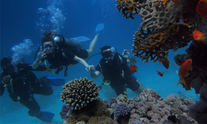 Young Travellers Seek For New Experience Thumb