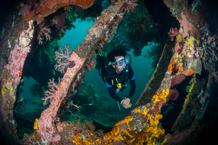 Zu Blu Favourite Dive Sites Liberty Wreck